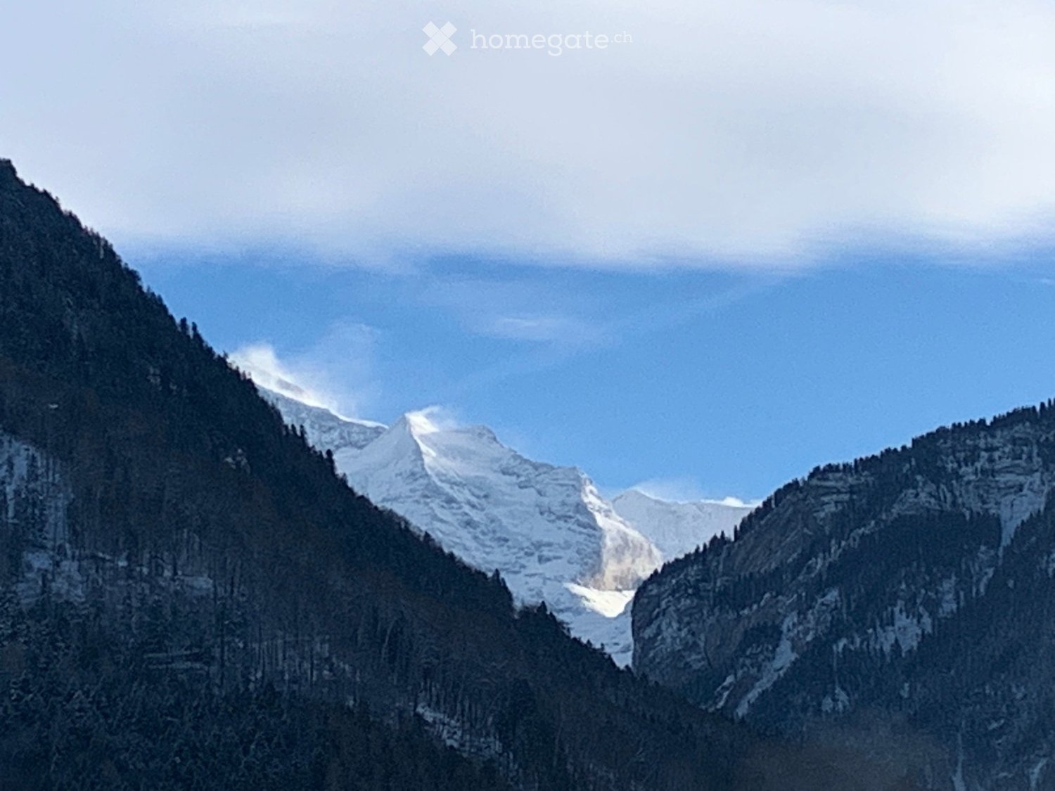 Appartamento di 2 ½ locali, foto 5 di 5