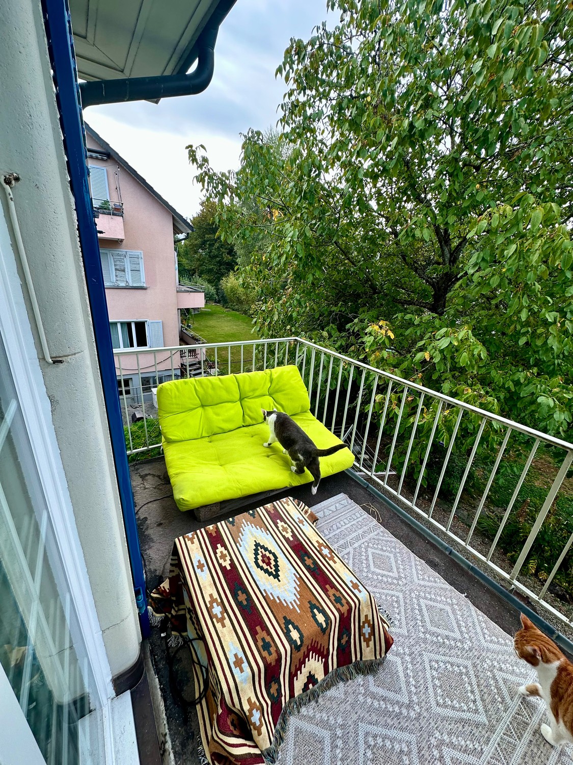 Stanza in un appartamento condiviso, foto 5 di 10
