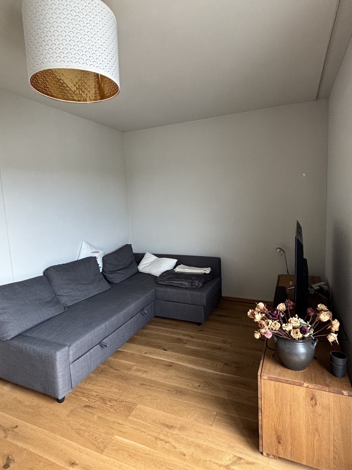 appartamento arredato di 3 ½ locali