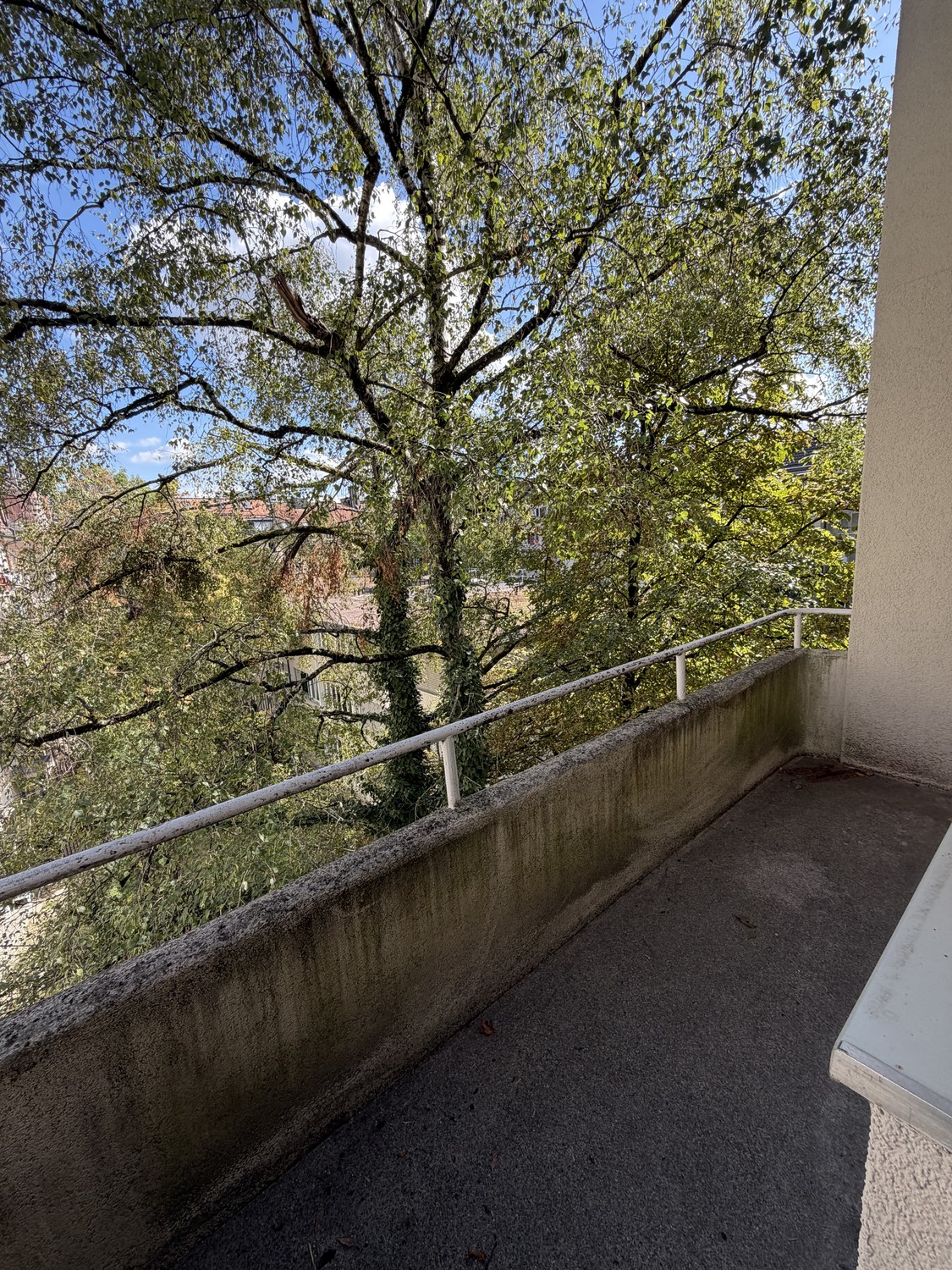 Appartamento di 3 ½ locali, foto 3 di 10
