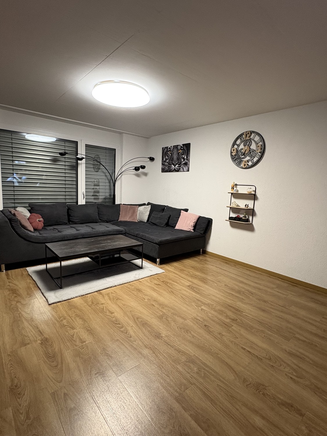 Appartamento di 4 ½ locali, foto 2 di 10