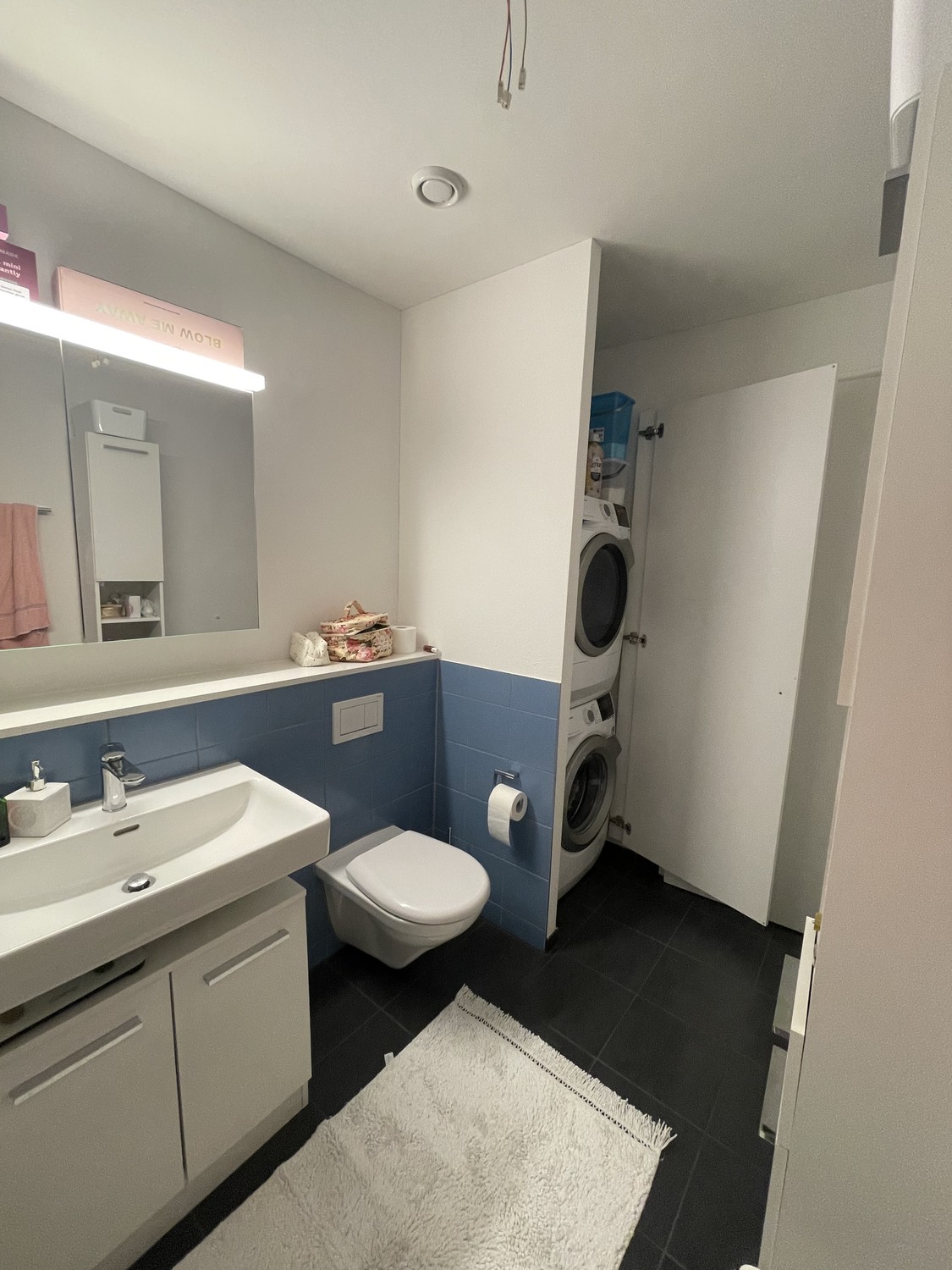 Appartamento di 2 ½ locali