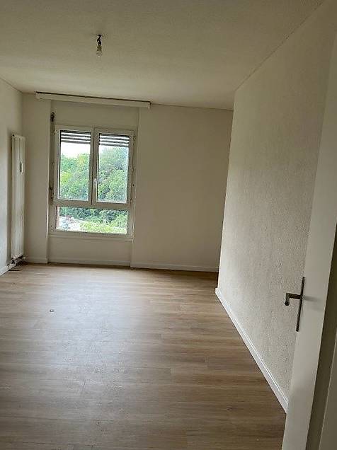 4 ½ Zimmer Wohnung