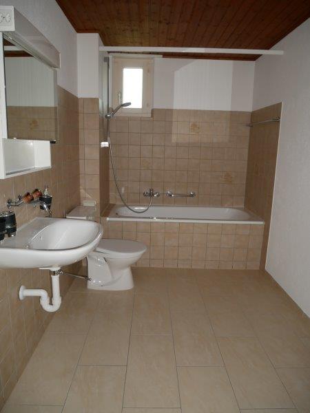 3 ½ Zimmer-Wohnung