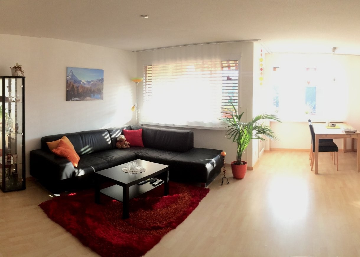 appartamento arredato di 2 ½ locali