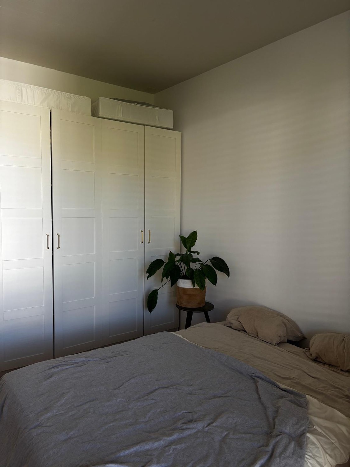 Appartamento di 3 ½ locali, foto 10 di 10