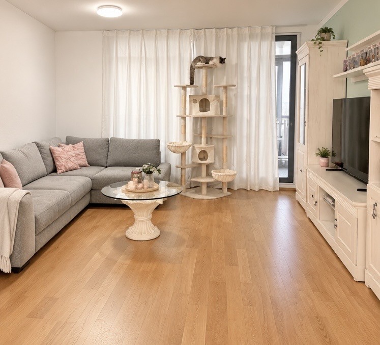 Appartement de 2 ½ pièces