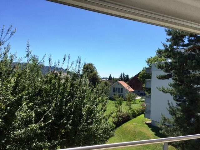 3 ½ locali appartamento in mansarda