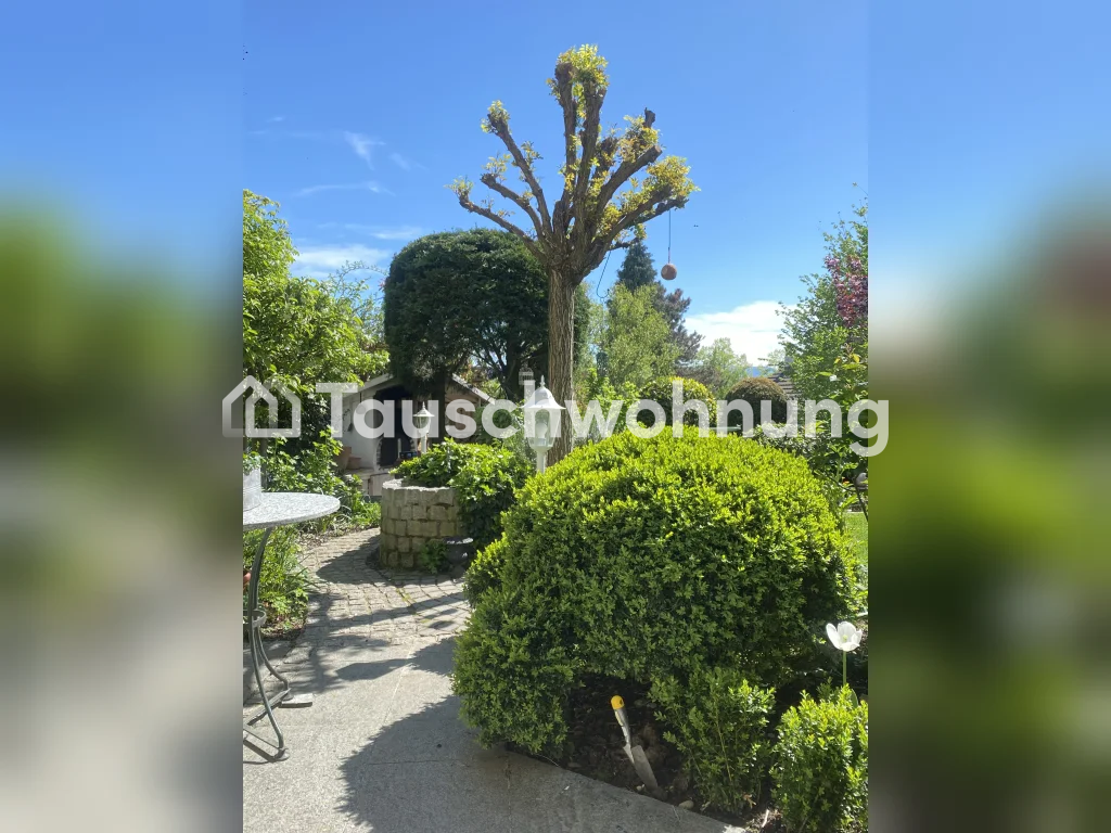 Appartamento di 3 ½ locali, foto 6 di 6