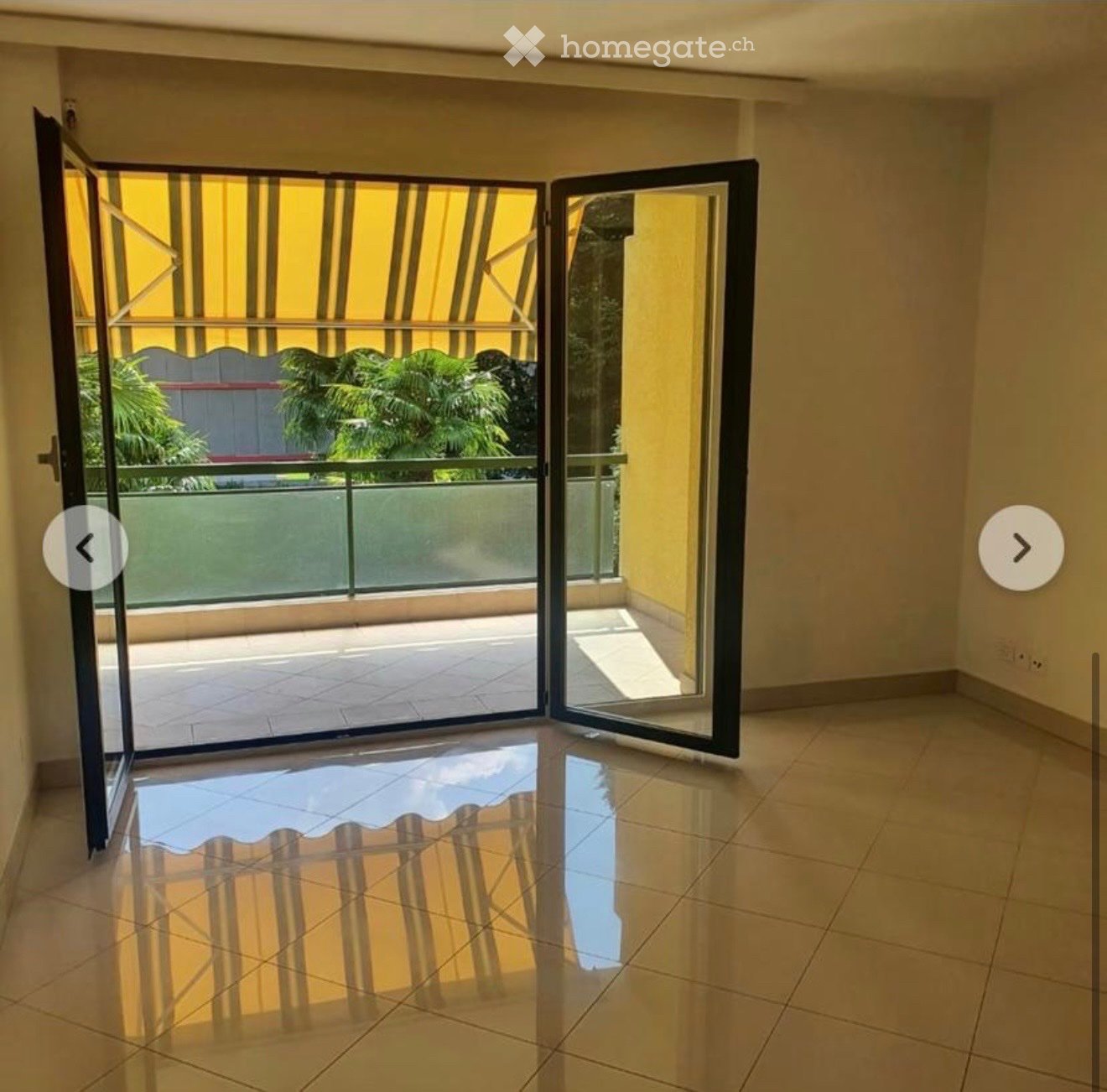 appartement 1 pièce