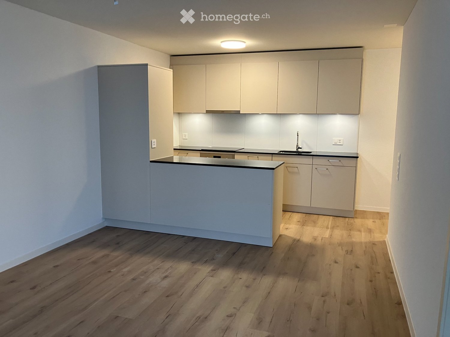 2 ½ rooms apartment