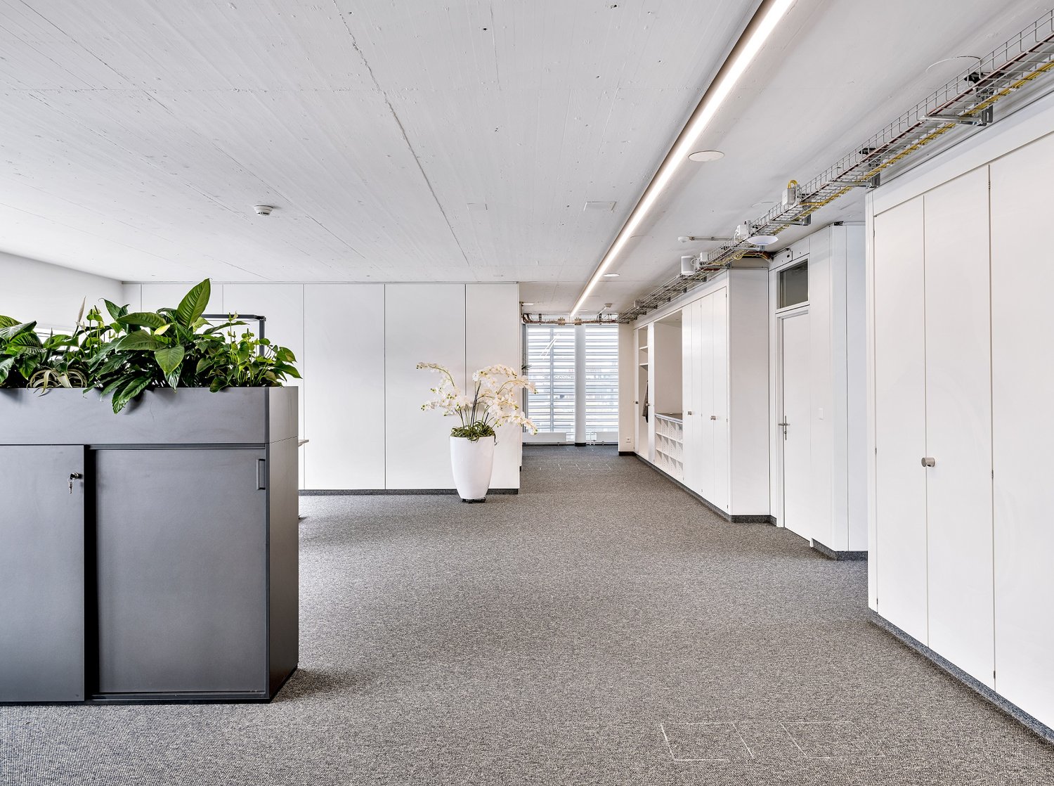 466m² office