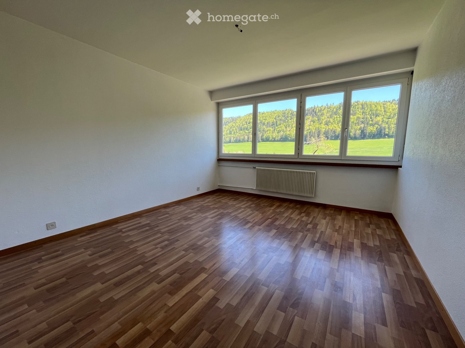 4 ½ rooms apartment