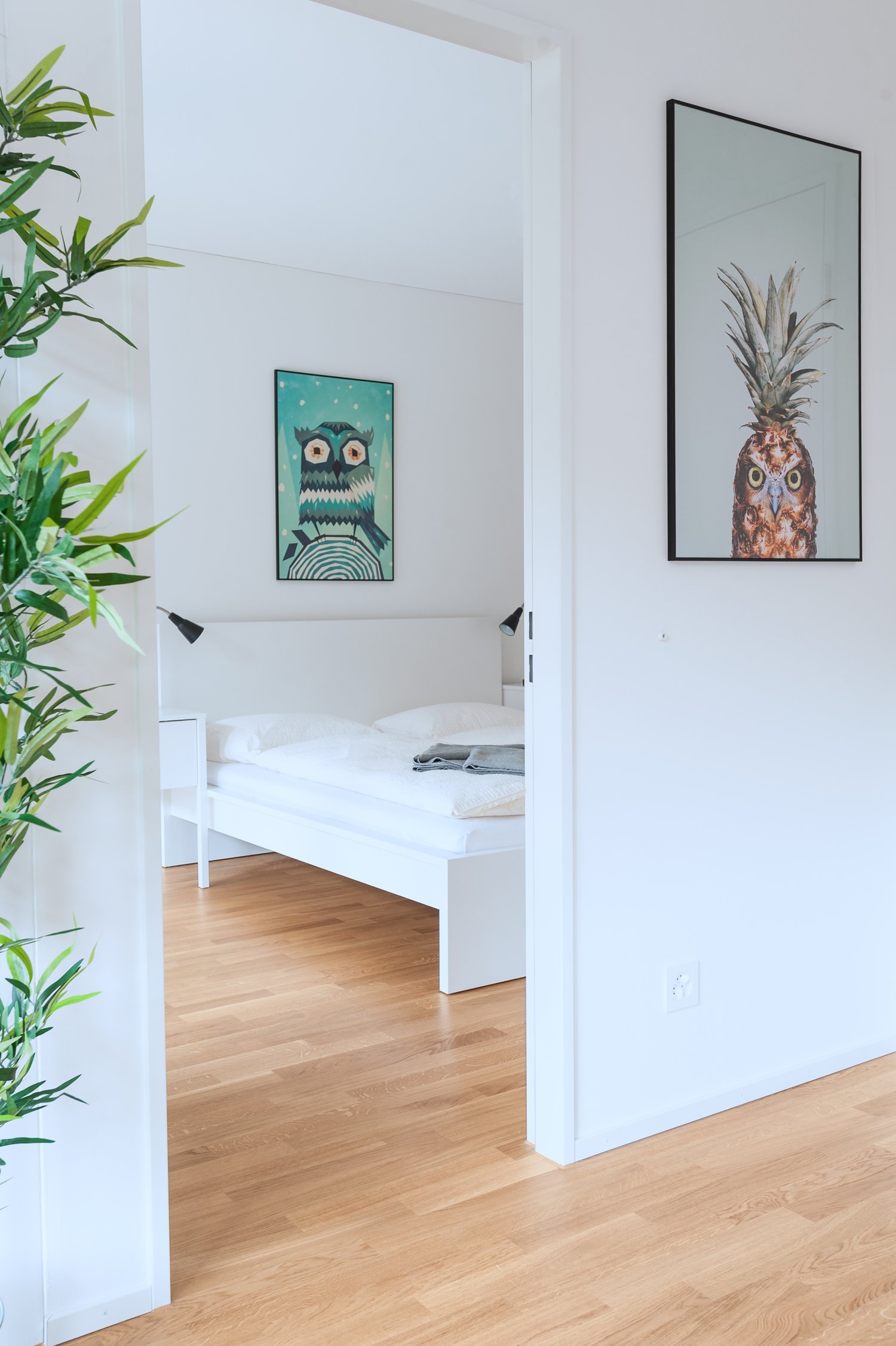 2 ½ rooms furnished flat