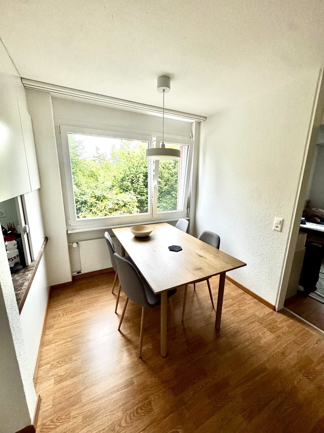 Appartamento di 3 ½ locali