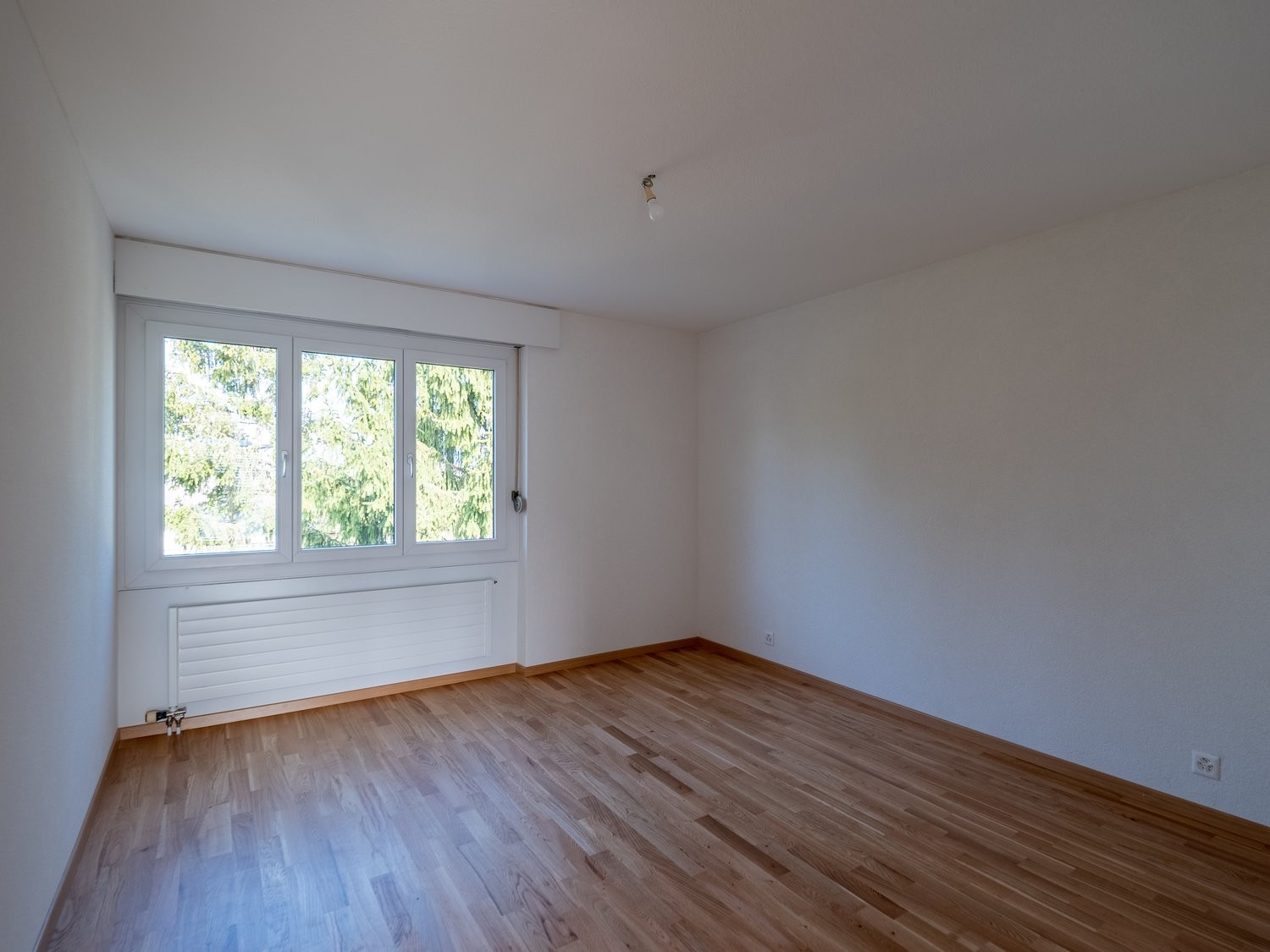 Appartamento di 3 ½ locali, foto 5 di 7