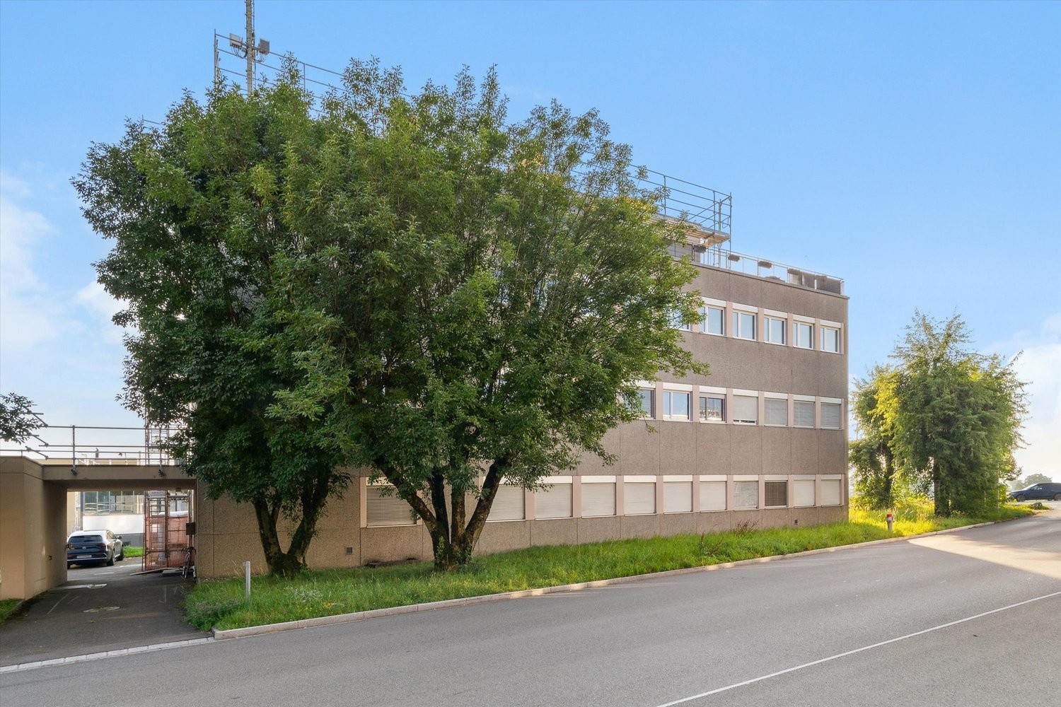 619m² commerciale
