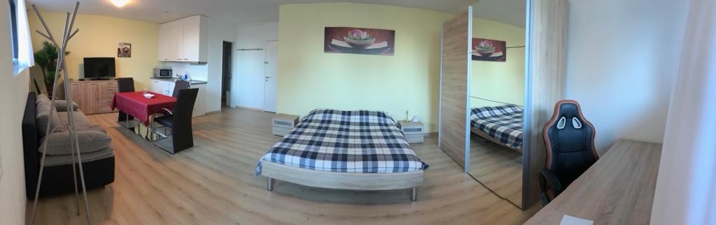 1 ½ Zimmer Wohnung