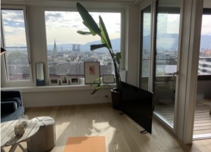 Appartamento di 2 ½ locali
