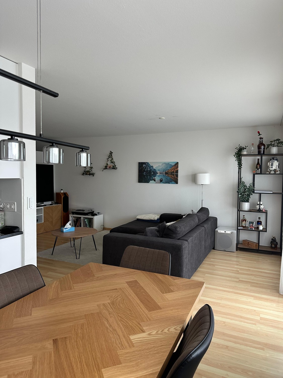 3 ½ rooms apartment