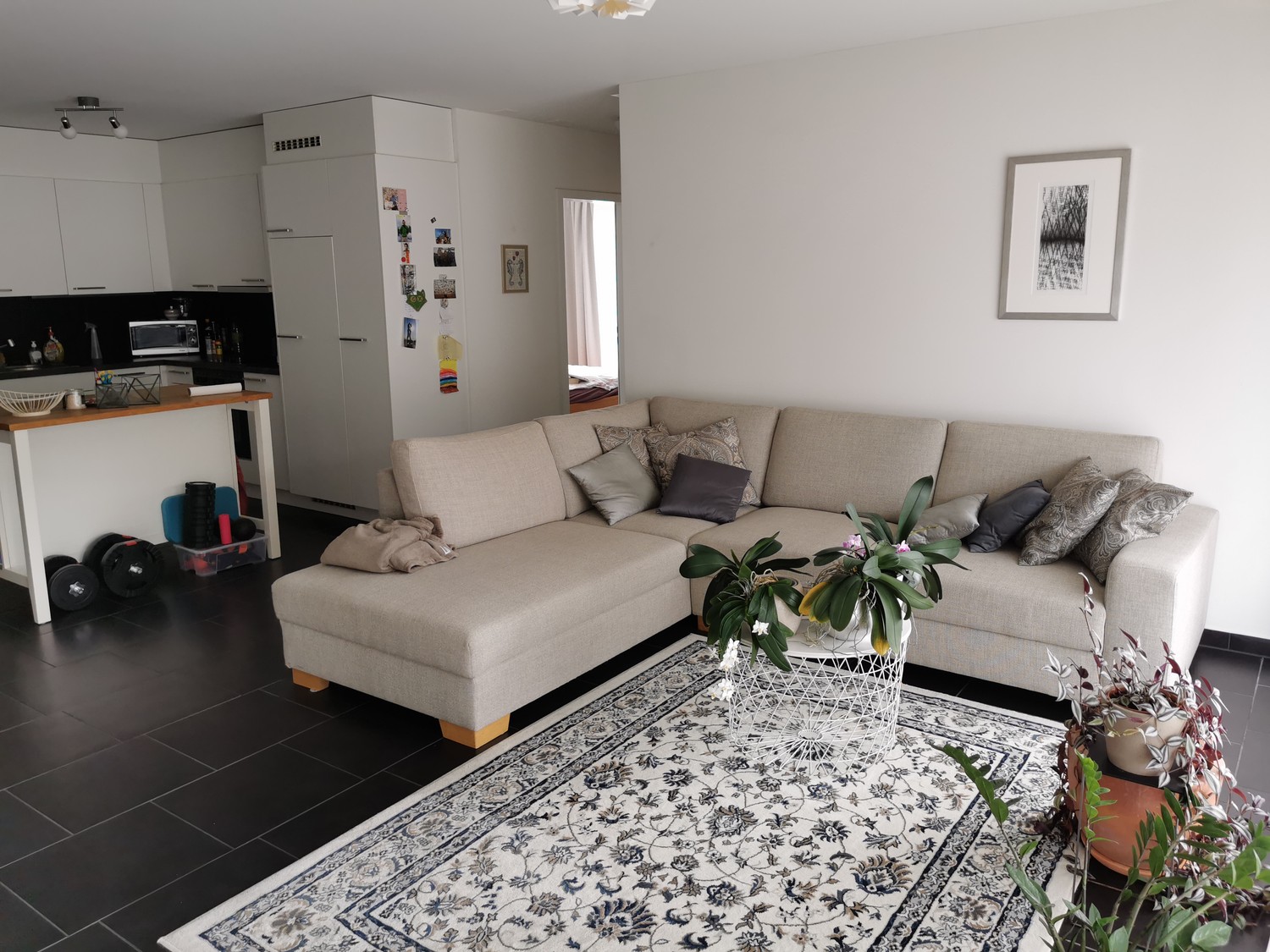 Appartamento di 3 ½ locali