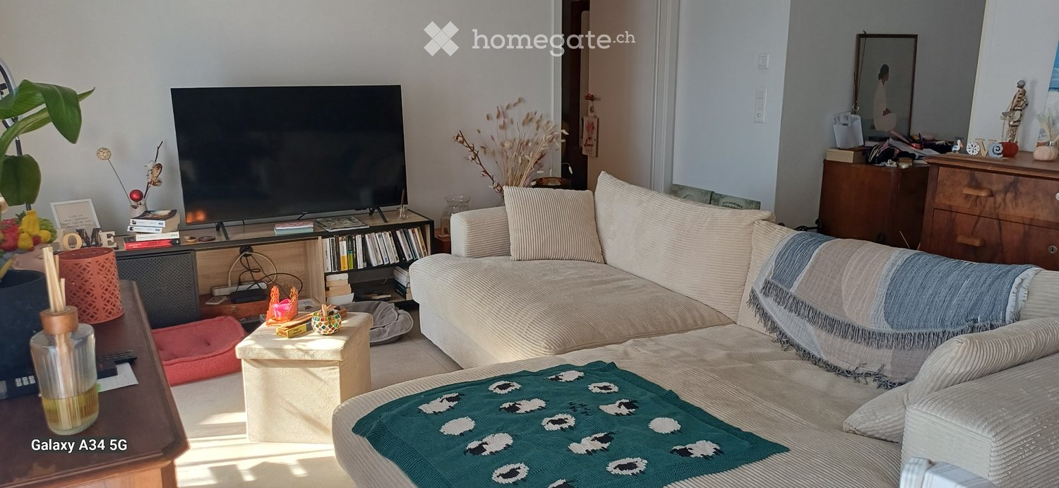 Appartamento di 1 ½ locali, foto 2 di 4