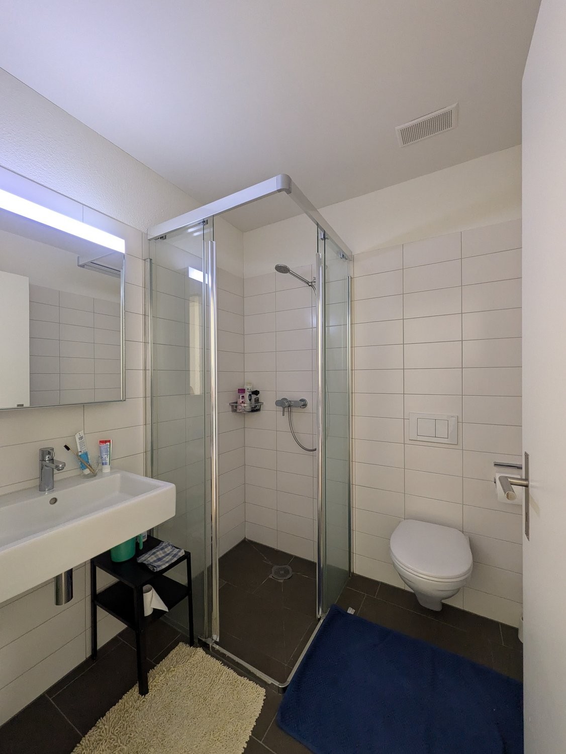 3 ½ rooms furnished flat