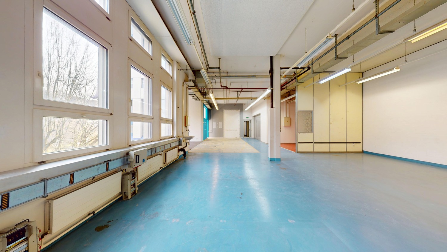 235m² commerciale