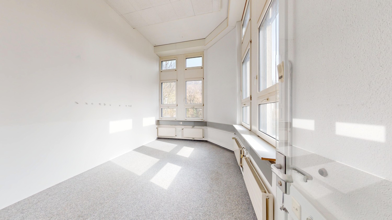 235m² commerciale