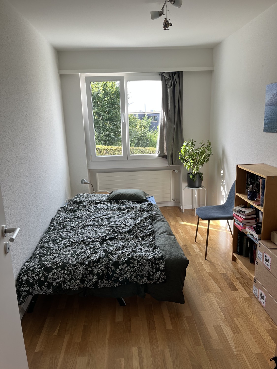 Room in a shared flat