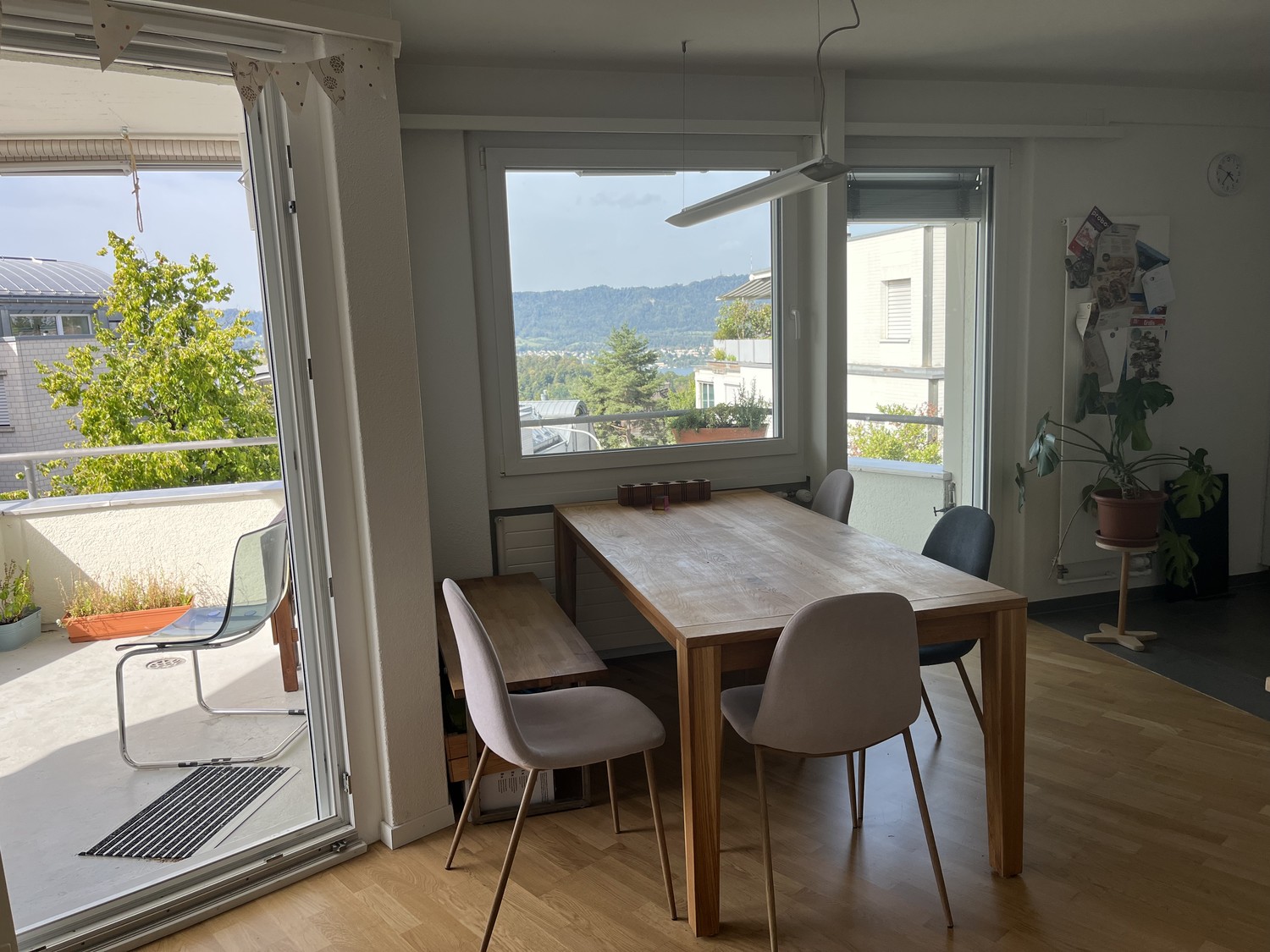 Room in a shared flat