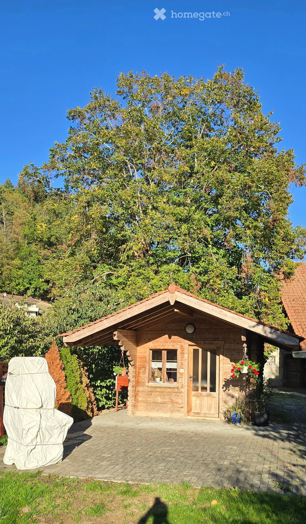 appartamento di 4 ½ locali, foto 5 di 5