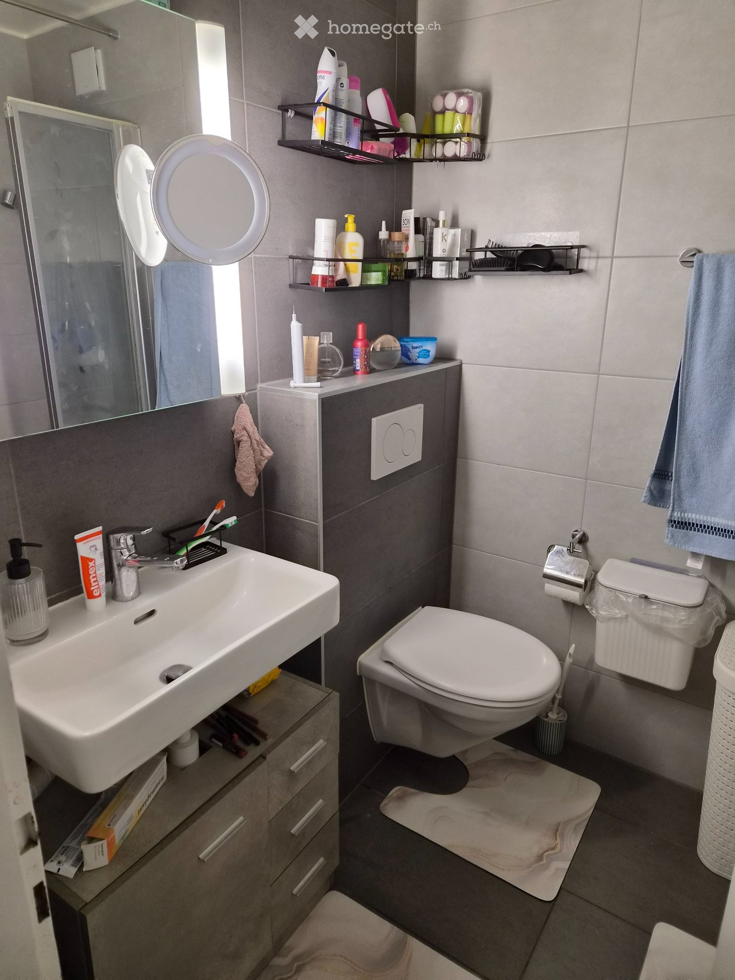 2 ½ Zimmer Wohnung