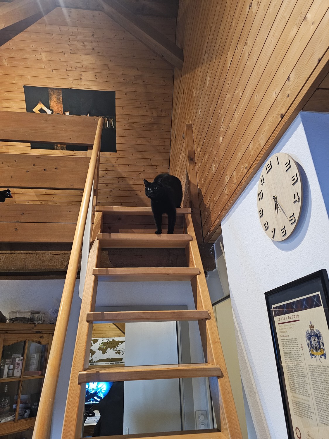 Appartamento di 3 ½ locali, foto 4 di 10