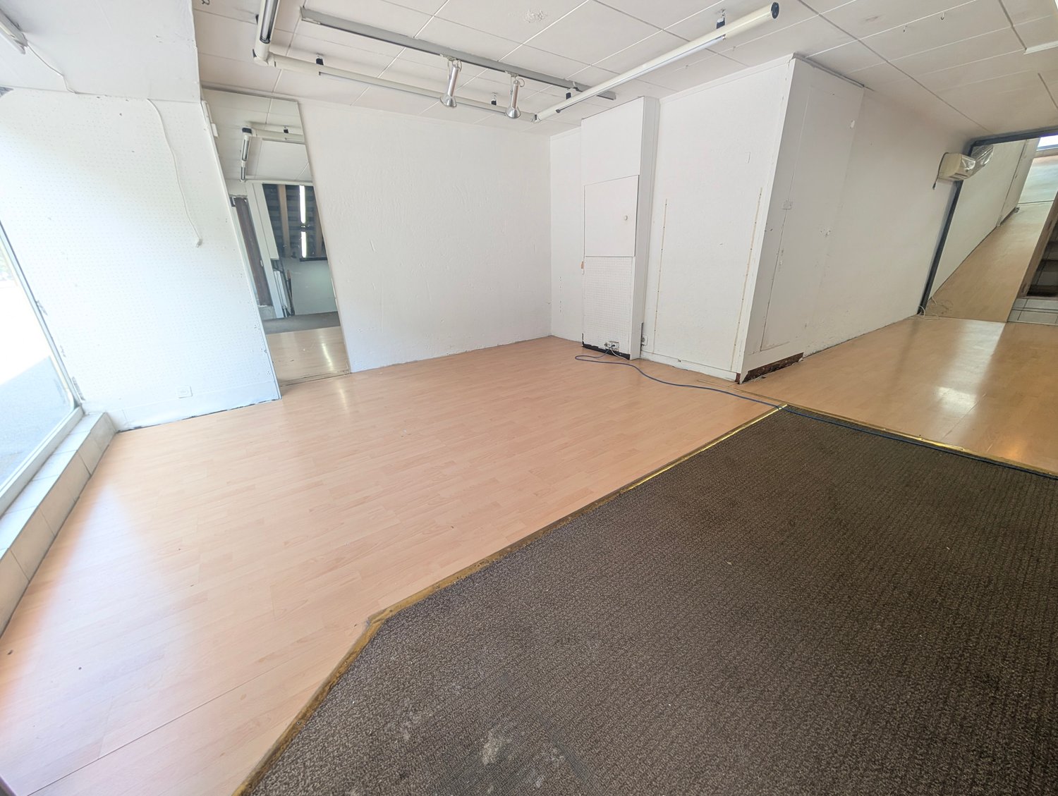 229m² commerciale