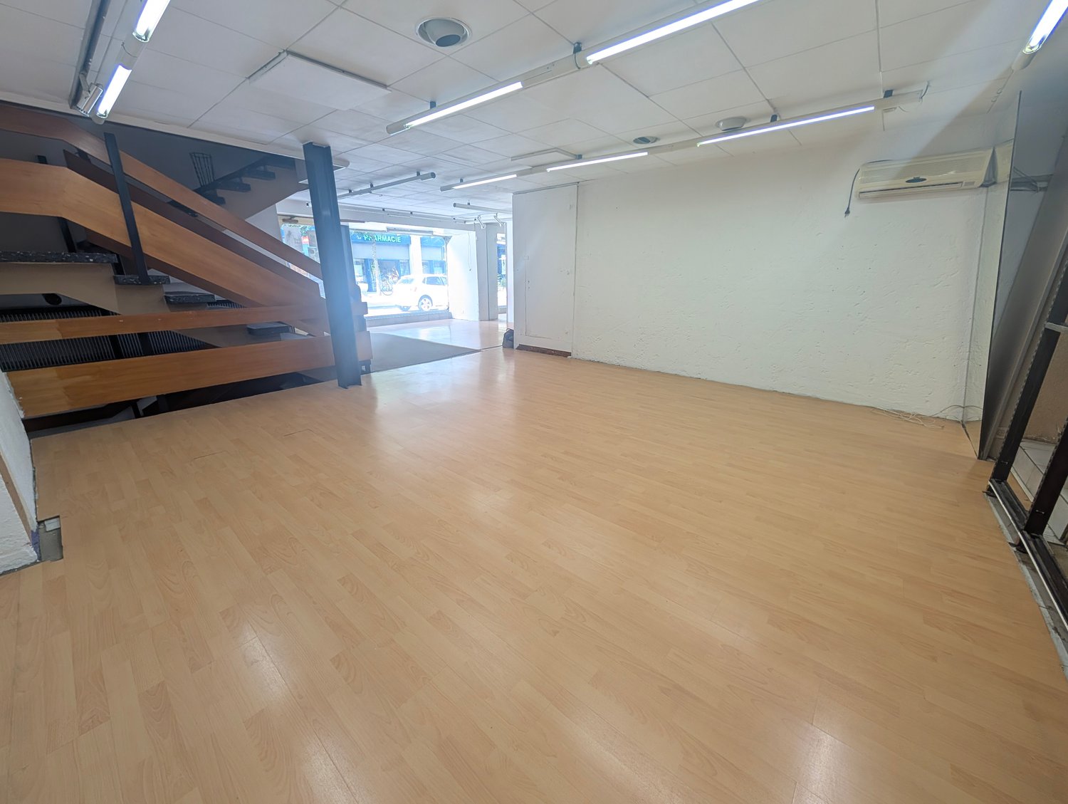 229m² commerciale