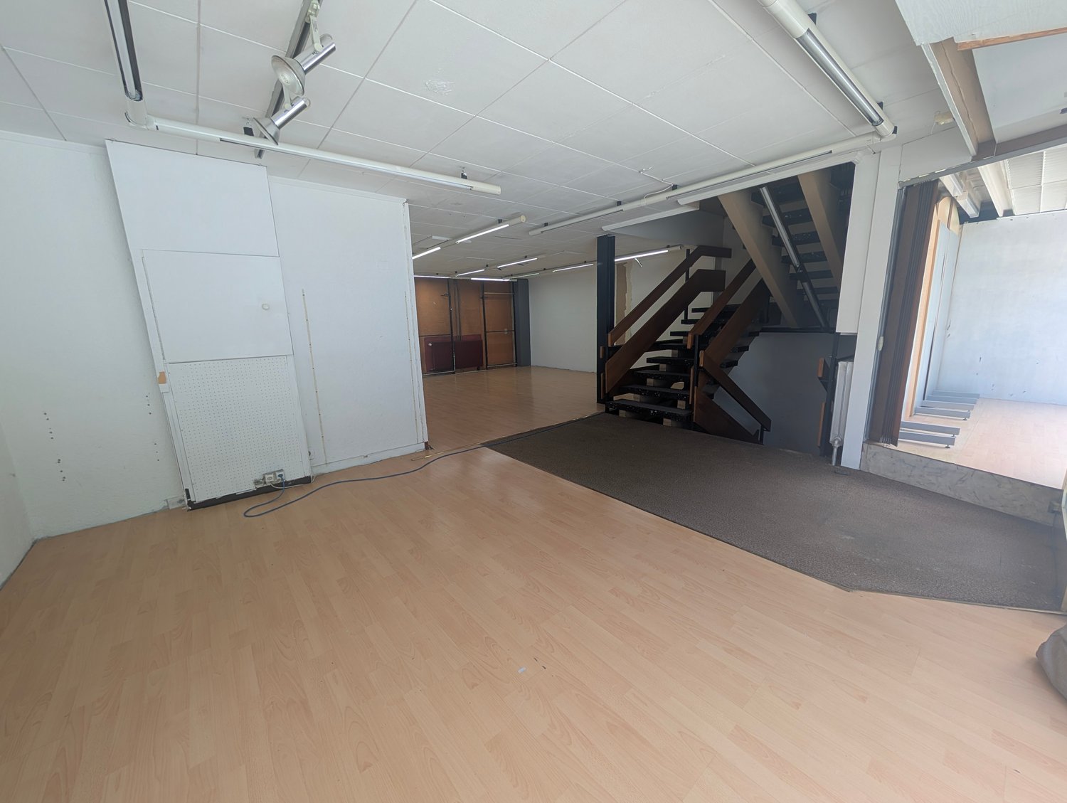 229m² commerciale