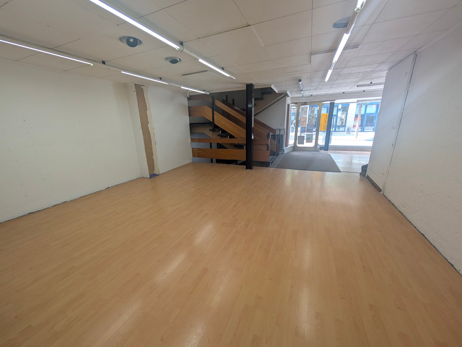 229m² commerciale