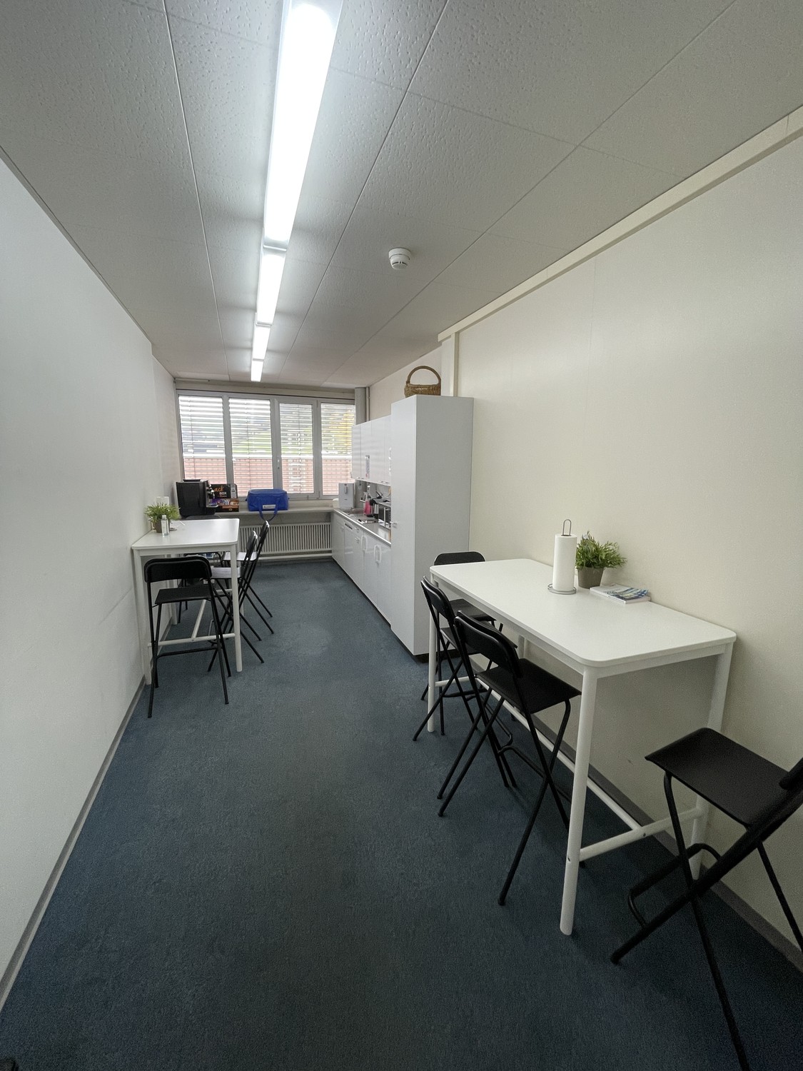 300-1240m² commerciale
