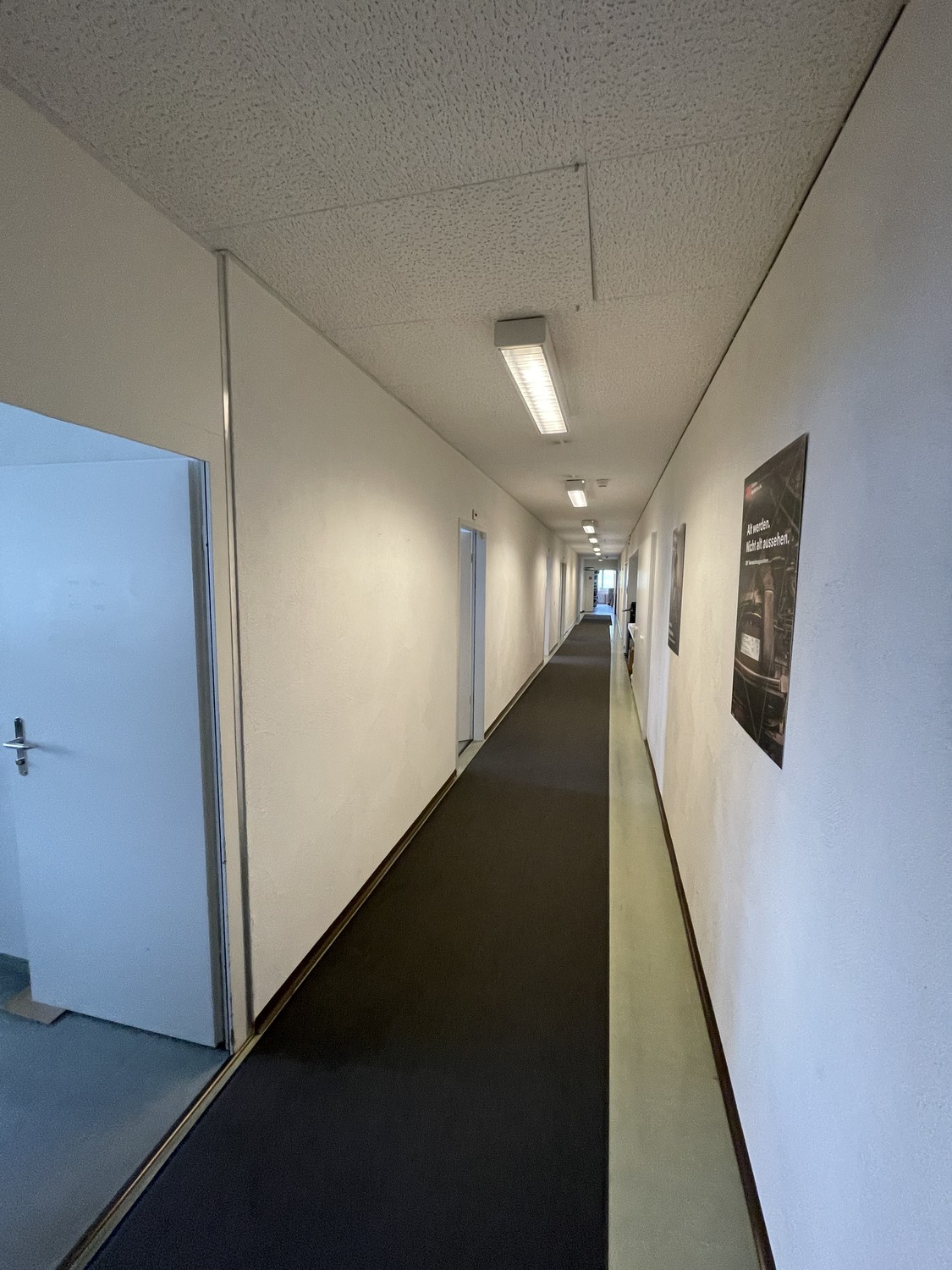 300-1240m² commerciale
