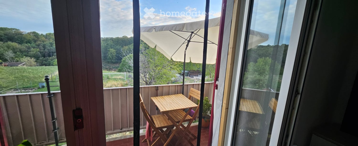 3 ½ room apartment much bright, fully renovated. Including an entrance hall, a fully equipped kitchen, a living room, two bedrooms, a balcony with a very beautiful view, a bathroom, a large attic, and a large cellar.
Available for the first of November. Rent 1710 Frs. including charges.