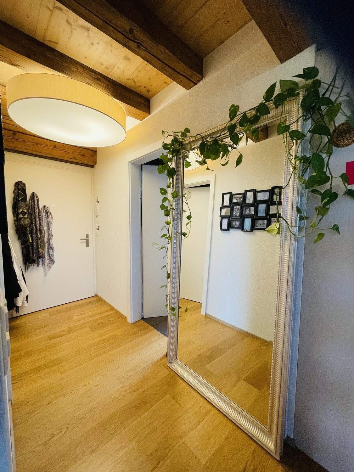 appartamento arredato di 1 locale, foto 8 di 10
