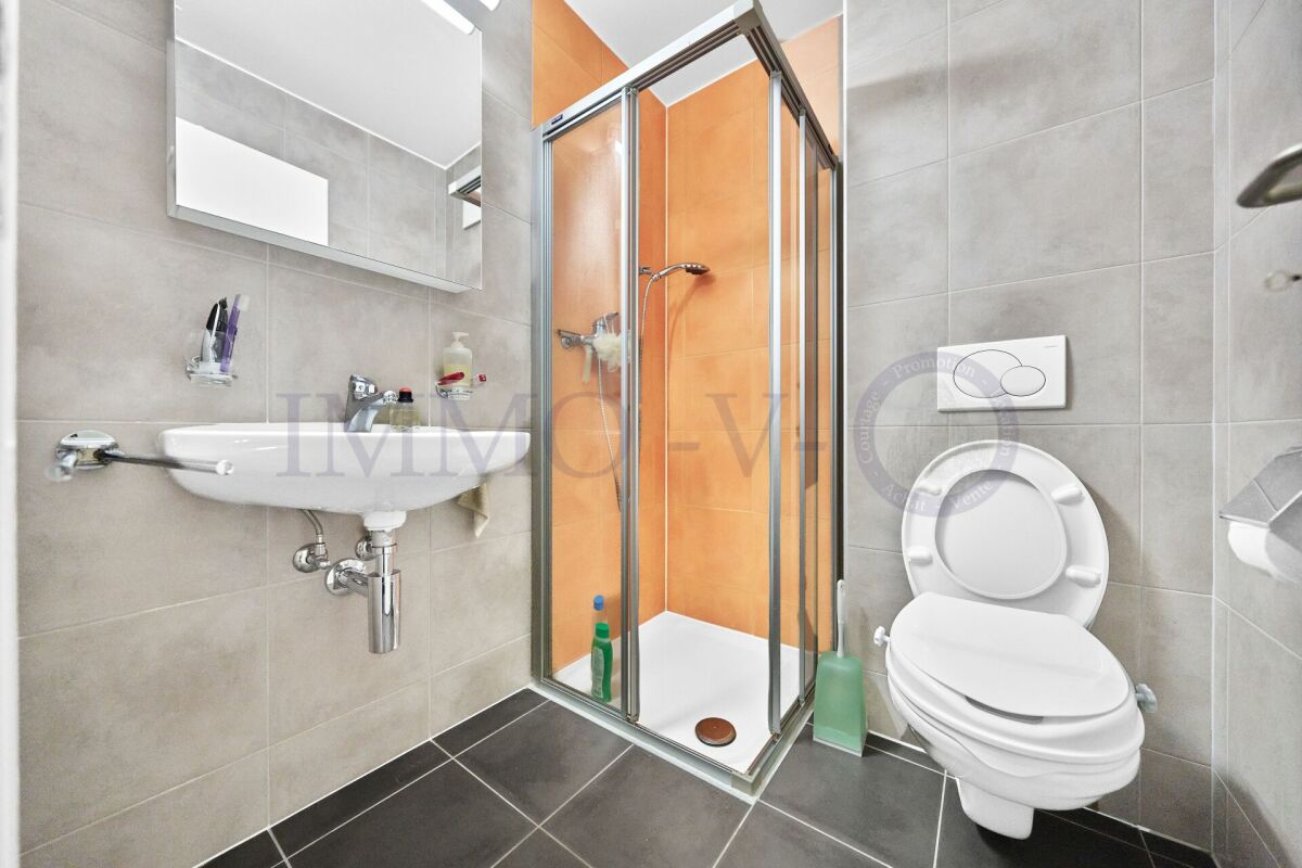 Appartamento con terrazza di 4 ½ locali, foto 9 di 10