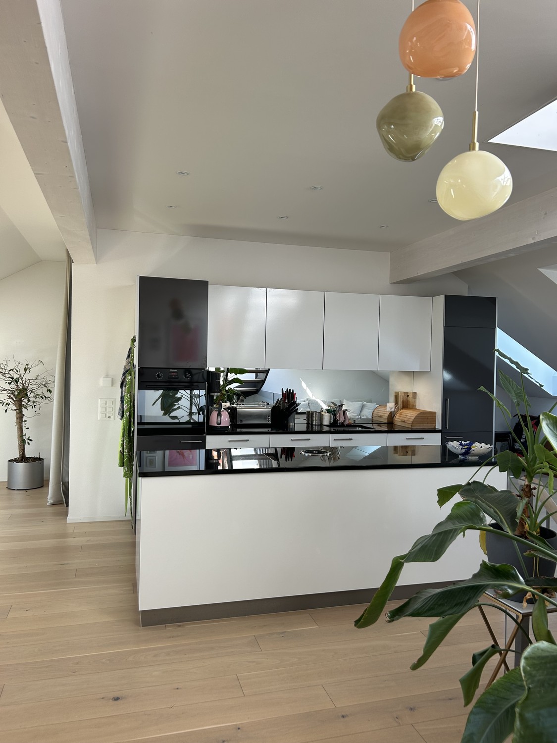 Room in a shared flat