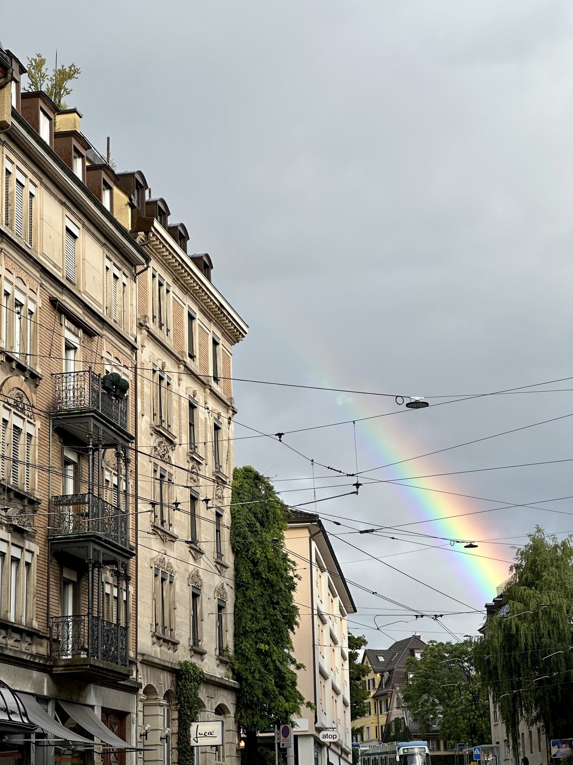 Camera in un appartamento condiviso