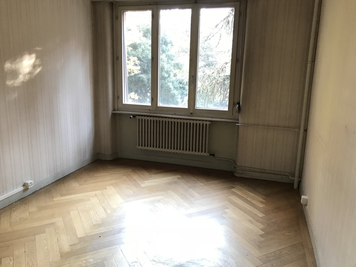 appartamento di 3 locali