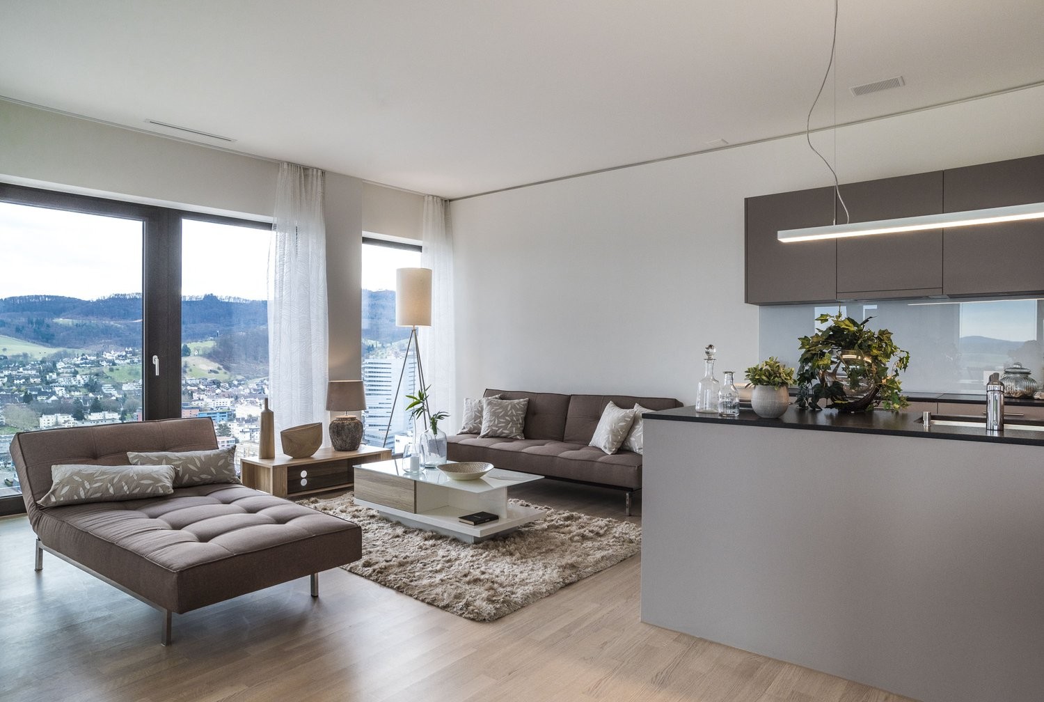Appartement de 3 ½ pièces