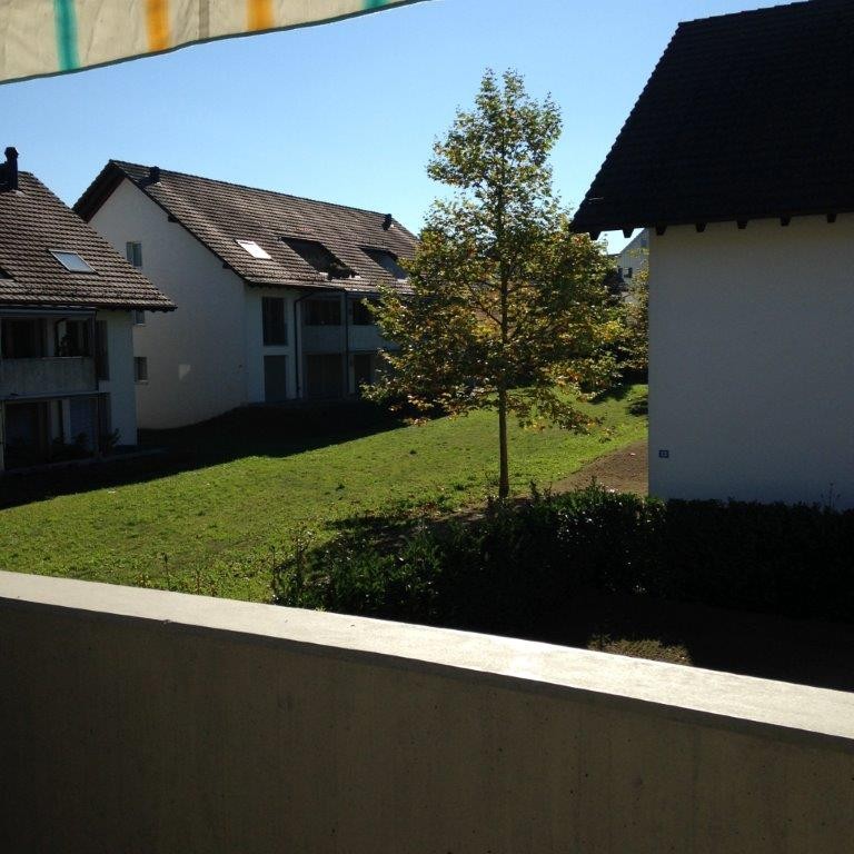3 ½ Zimmer-Wohnung