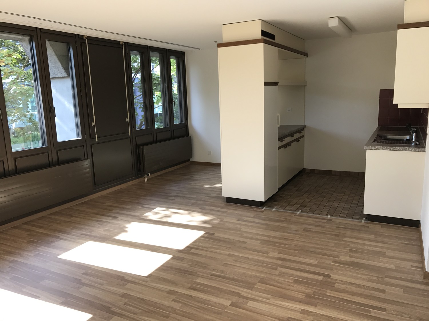 Appartamento di 2 ½ locali, foto 2 di 9