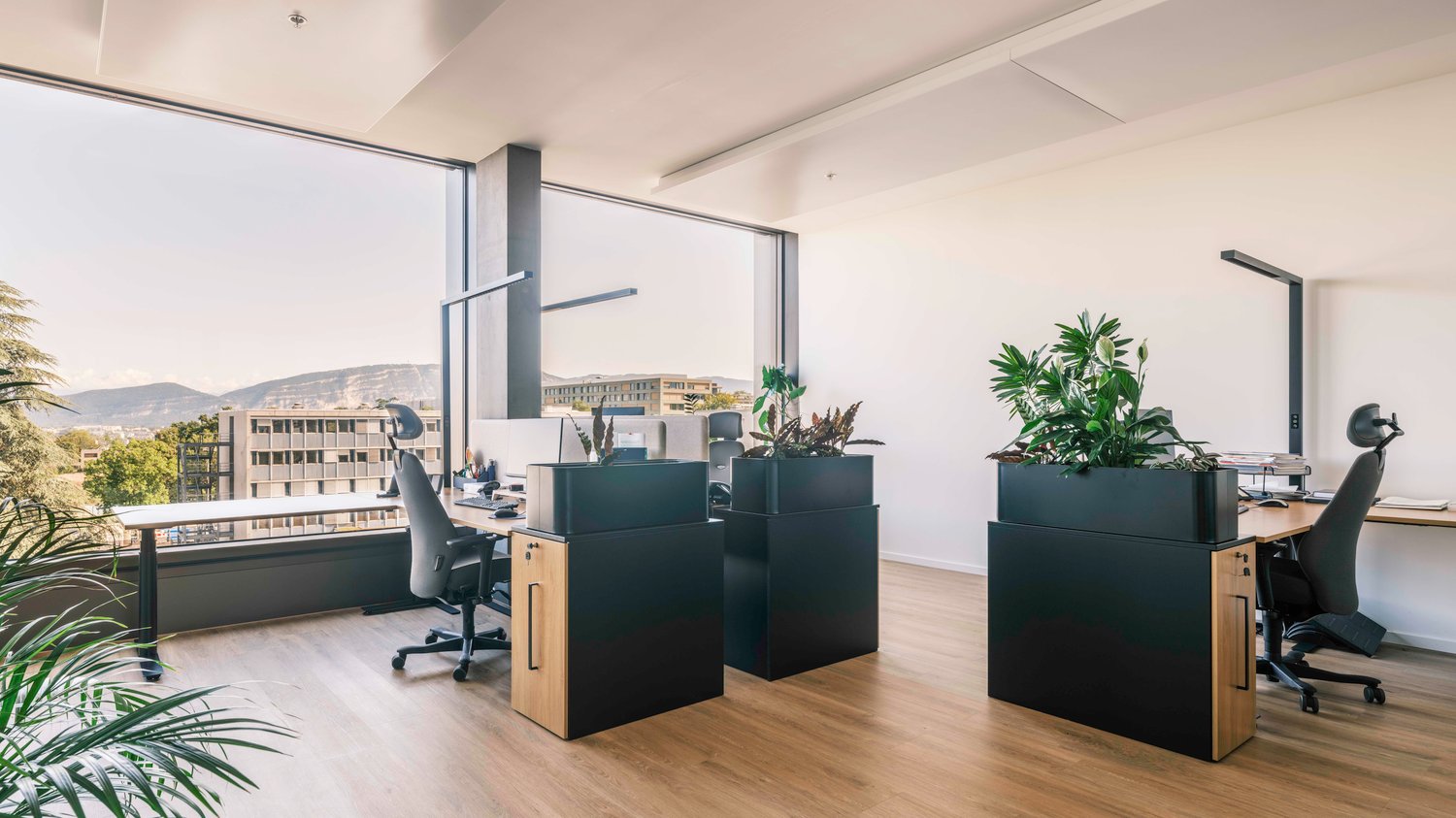 1250m² ufficio